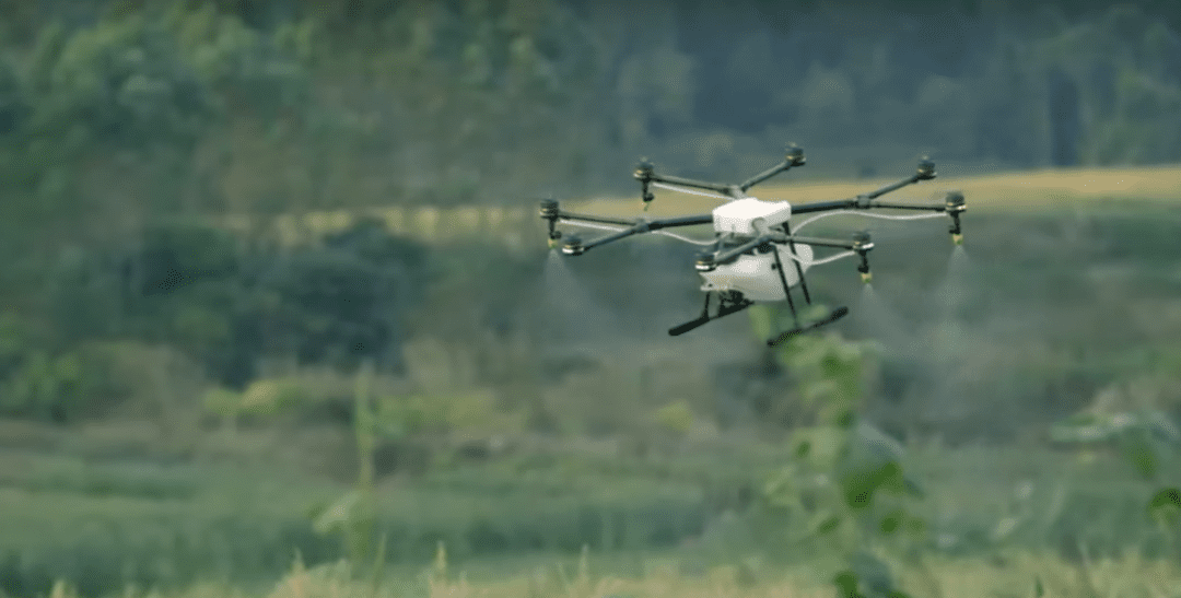 Drone para combate a dengue, combate a dengue com drone